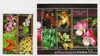 Philippine Stamps 2017 Endemic Flowers Complete set MNH