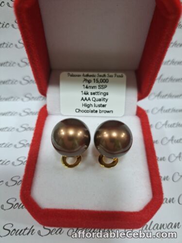 1st picture of South Sea Pearls Choco Brown 14mm Stud Earrings For Sale in Cebu, Philippines