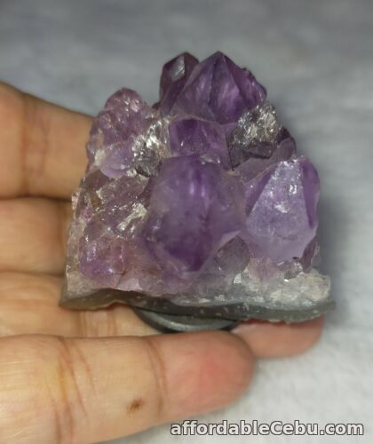 1st picture of 75 Grams NATURAL Raw AMETHYST CRYSTAL Cluster Specimen Ref Magnet Decor Display For Sale in Cebu, Philippines