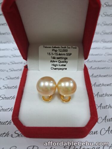 1st picture of South Sea Pearls Champagne 15.1mm - 15.4mm Stud Earrinfgs For Sale in Cebu, Philippines