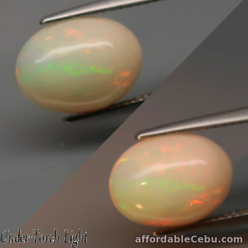1st picture of 3.20 Carats 12.3x9.30x5.7mm NATURAL Multi-Color OPAL for Setting Oval Cabochon For Sale in Cebu, Philippines