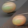 3.20 Carats 12.3x9.30x5.7mm NATURAL Multi-Color OPAL for Setting Oval Cabochon