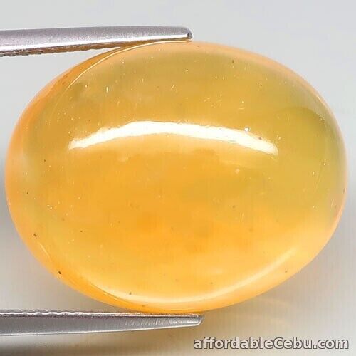 1st picture of 26.90 Carats NATURAL Yellow OPAL Oval Cabochon Loose 23x18x12mm Mexico Unheated For Sale in Cebu, Philippines