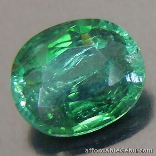 1st picture of 1.23 Carats NATURAL Green Copper TOURMALINE Mozambique Oval Loose 7.6x6.30x3.5mm For Sale in Cebu, Philippines