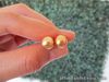 SALE‼️8.9mm South Sea Pearl Earrings 14k Yellow Gold E748 sep