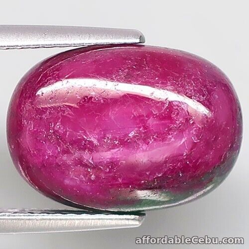 1st picture of 10.74 Carat NATURAL Red Green RUBY Zoisite Loose Oval 14.3x10x6.8mm Mozambique For Sale in Cebu, Philippines