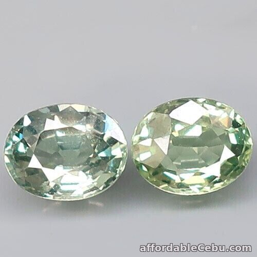 1st picture of 1.16 Carats 2pcs Pair NATURAL Green SAPPHIRE Loose Oval 5.3x4.3 Madagascar For Sale in Cebu, Philippines