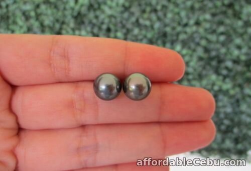 1st picture of 9.3mm South Sea Gray Pearl Earrings 14k White Gold E536 sep For Sale in Cebu, Philippines