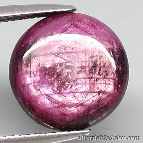 1st picture of 14.93 Carats NATURAL Blackish Red RUBY Mozambique Round Cabochon 13.5x13.5x6.5mm For Sale in Cebu, Philippines