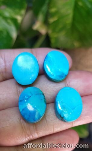 1st picture of 49.0 Carats 4pcs Lot NATURAL Morenci TURQUOISE Oval Cabochon 16-18mm Arizona For Sale in Cebu, Philippines