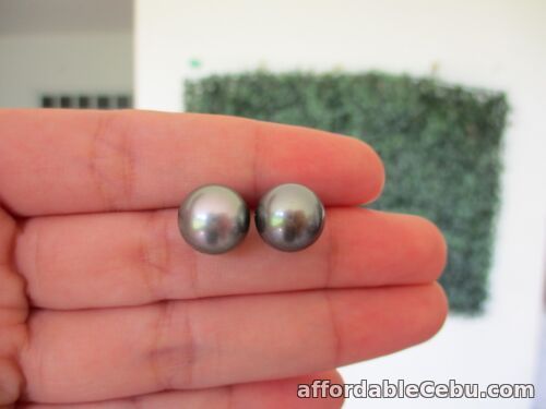 1st picture of 10.7mm South Sea Gray Pearl Earrings 14k White Gold E82 sep For Sale in Cebu, Philippines