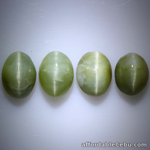 1st picture of 12.345 Carats 4pcs Lot NATURAL RARE Cat's Eye Green Quartz Oval Cabochon Ceylon For Sale in Cebu, Philippines
