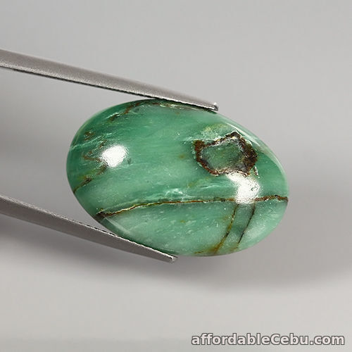 1st picture of 18.84 Cts Natural Australia Green CHALCEDONY Oval Cabochon for Jewelry Setting For Sale in Cebu, Philippines
