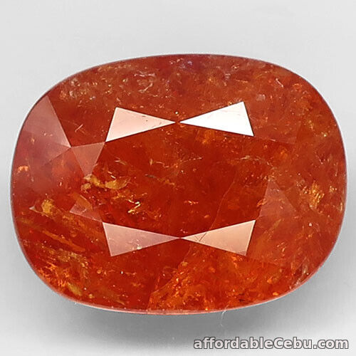 1st picture of 10.21 Carats NATURAL Spessartite GARNET Loose Top Orange Cushion Africa 14x11mm For Sale in Cebu, Philippines