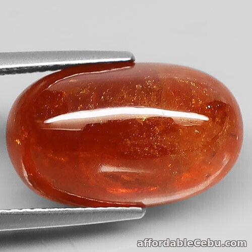 1st picture of 19.30 Carats NATURAL Spessartite GARNET Deep Orange 18x11x8.8mm Oval Cab Loose For Sale in Cebu, Philippines