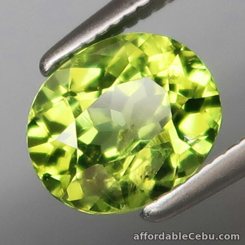 1st picture of 1.36 Carats 7.4x6.2x4.3mm NATURAL Green PERIDOT Loose PAKISTAN Oval For Sale in Cebu, Philippines