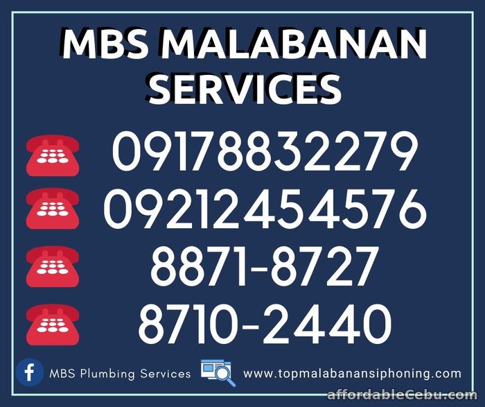 1st picture of MUNTINLUPA MALABANAN SIPSIP POZO NEGRO SERVICES 88718727 Offer in Cebu, Philippines
