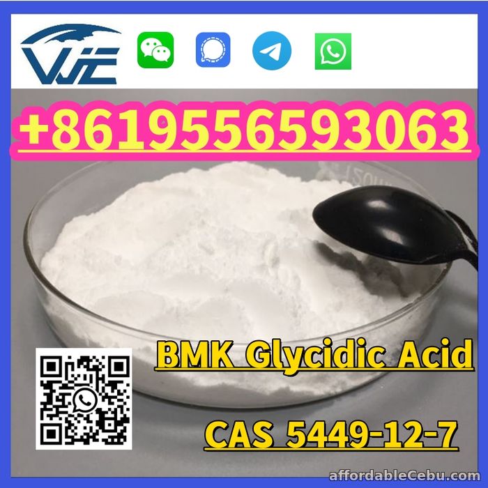 1st picture of 2-methyl-3-phenyl-oxirane-2-carboxylic acid CAS 5449-12-7 For Sale in Cebu, Philippines