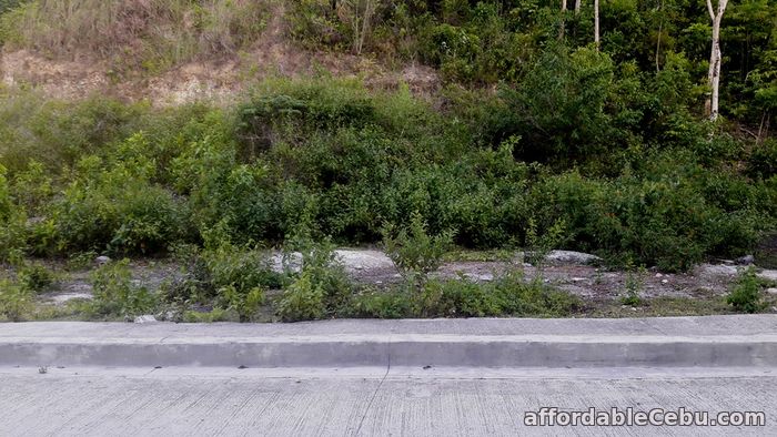 2nd picture of 208 sqm Corner Lot for sale at Vista Verde Sacsac Consolacion For Sale in Cebu, Philippines