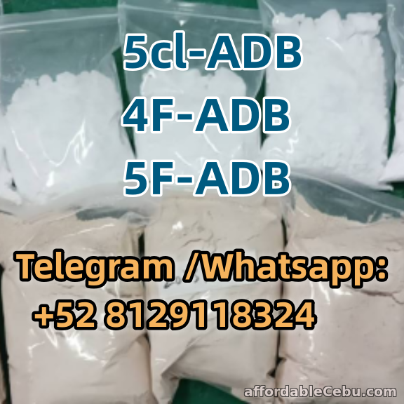 1st picture of 5cl-ADB 4F-ADB 5F-ADB Good  quality For Swap in Cebu, Philippines