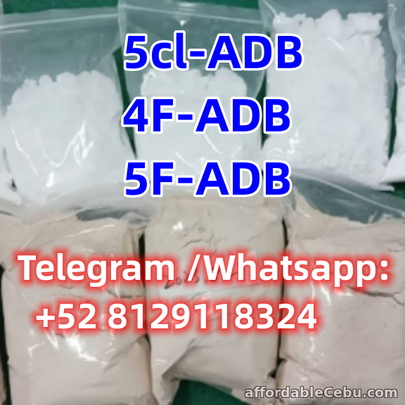 1st picture of 5cl-ADB 4F-ADB 5F-ADB Stable quality For Swap in Cebu, Philippines