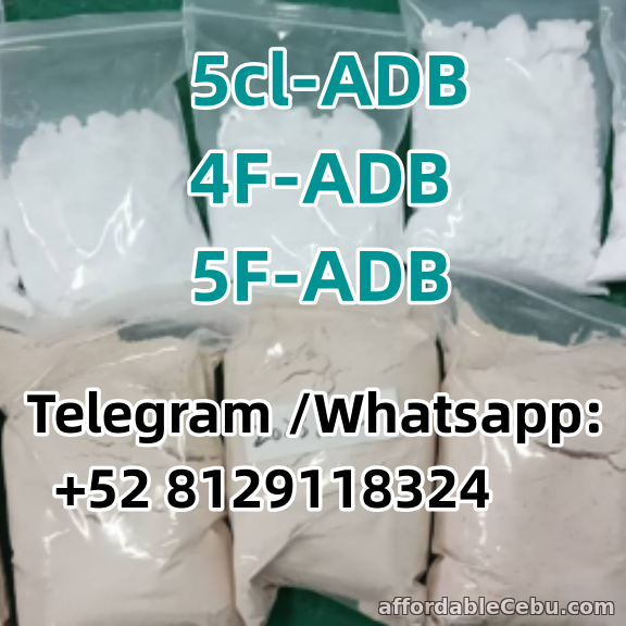 1st picture of 5cl-ADB 4F-ADB 5F-ADB Good  source of materials Offer in Cebu, Philippines