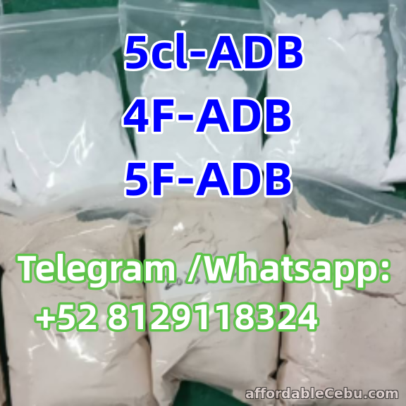 1st picture of 5cl-ADB 4F-ADB 5F-ADB Superior  quality Wanted to Buy in Cebu, Philippines