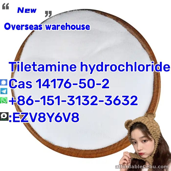 1st picture of Tiletamine hydrochloride  Cas 14176-50-2uswa WhatsApp /Telegram /WeChat: +86 151-3132-3632 For Sale in Cebu, Philippines