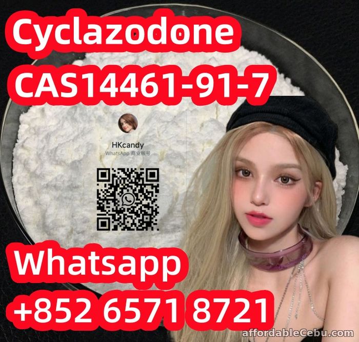1st picture of factory Outlet Cyclazodone CAS14461-91-7 For Sale in Cebu, Philippines