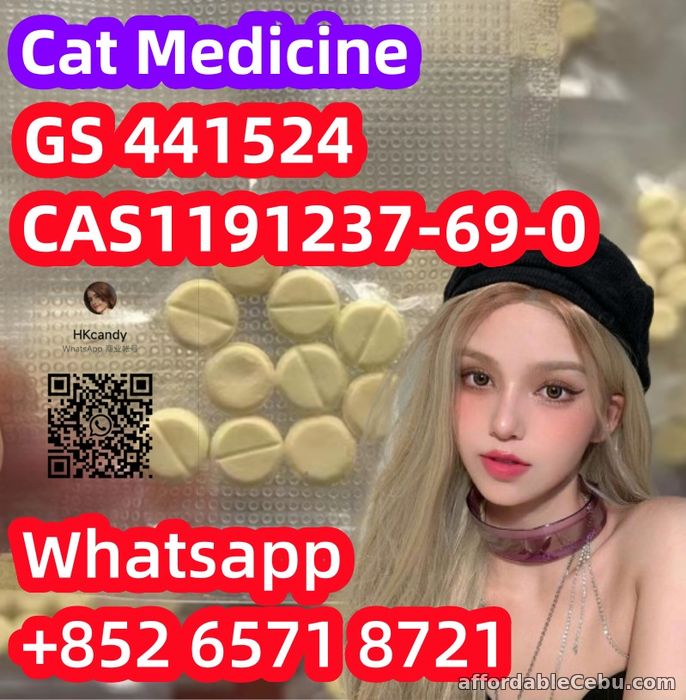 1st picture of Pet Medicine CAS1191237-69-0 GS 441524 For Sale in Cebu, Philippines