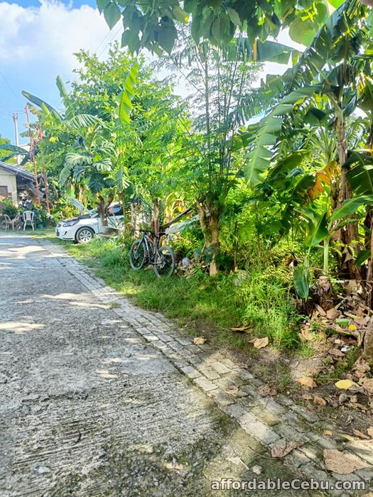 3rd picture of Titled lot inside a compact peaceful gated community near 7 eleven rush sale For Sale in Cebu, Philippines