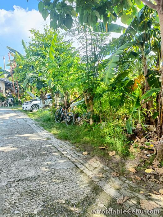 2nd picture of Titled lot inside a compact peaceful gated community near 7 eleven rush sale For Sale in Cebu, Philippines
