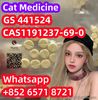 Pet Medicine CAS1191237-69-0 GS 441524