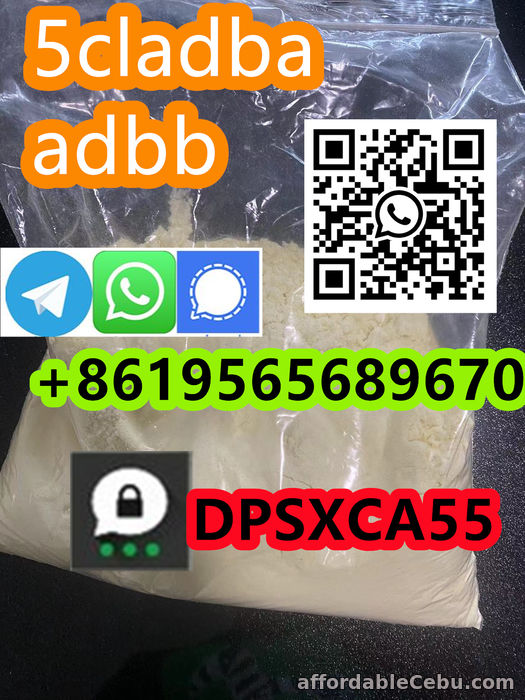 1st picture of Supply 5cladba Opioids powder by china For Sale in Cebu, Philippines