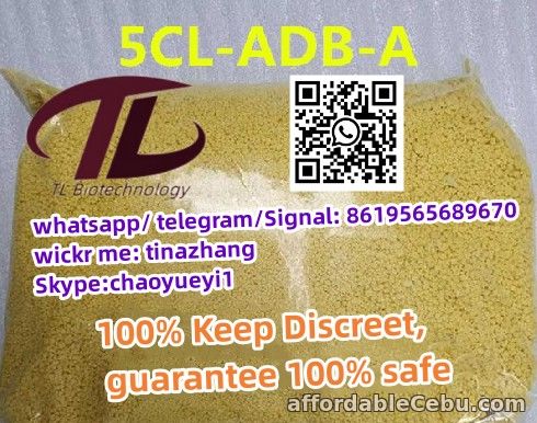 1st picture of best price 5cladba OPIOIDS Precursor For Sale in Cebu, Philippines
