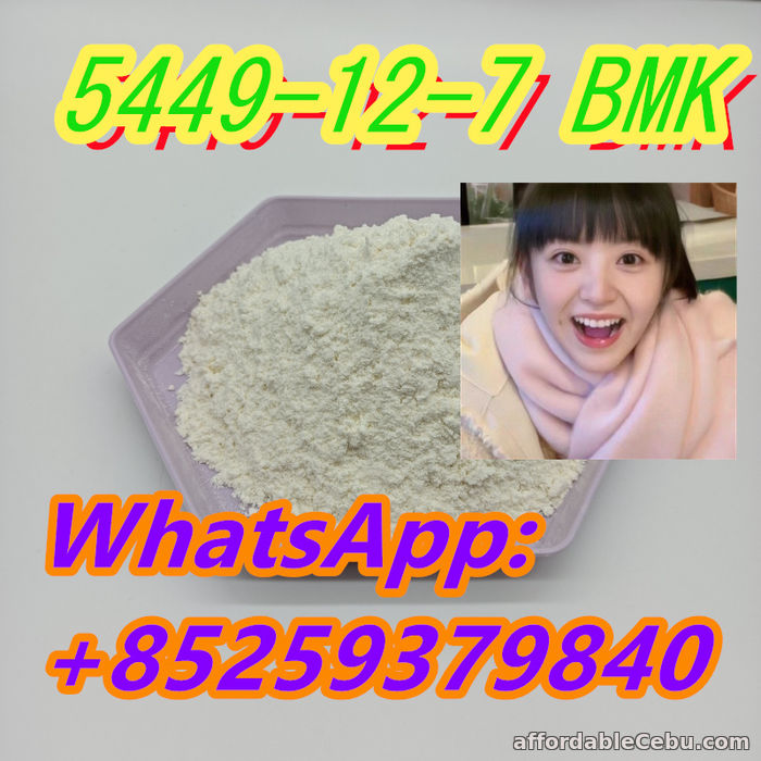2nd picture of Manufactory Supply BMK 5449-12-7 white powder For Sale in Cebu, Philippines
