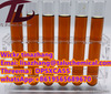 Malonate CAS 20320-59-6 With Safe /Pmk Whstapp:+8619565689670