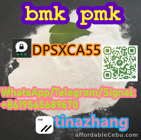 1st picture of BMK Powder/BMK Oil CAS 5449-12-7/Pmk/BMK Inclusion-Free 99% New BMK Powder CAS 5449-12-7 Powder For Sale in Cebu, Philippines