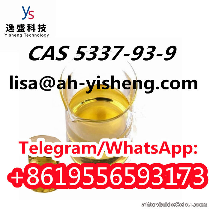 4th picture of Chemical Raw Materials CAS 5337-93-9 Low Price For Sale in Cebu, Philippines