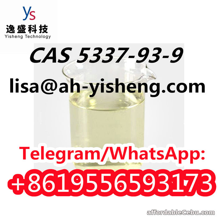 2nd picture of Chemical Raw Materials CAS 5337-93-9 Low Price For Sale in Cebu, Philippines