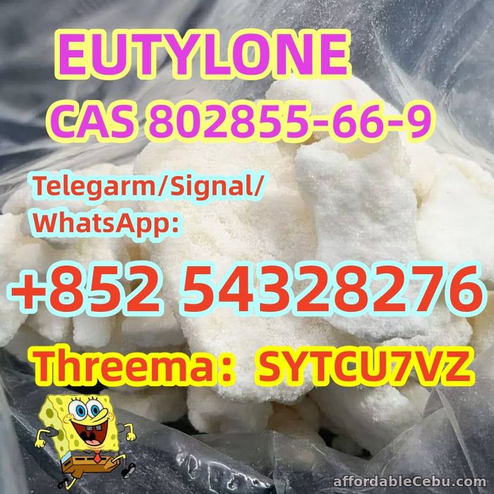 1st picture of CAS 802855-66-9 EUTYLONE MDMA BK-MDMA WhatsApp:+852 54328276 For Swap in Cebu, Philippines