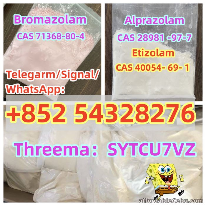 1st picture of Factory sales CAS 71368-80-4 Bromazolam CAS 28981 -97-7 Alprazolam WhatsApp:+852 54328276 For Rent in Cebu, Philippines