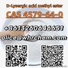 Factory supply CAS 4579-64-0 White powder safe delivery low price great quality email:alice@whrchem.com
