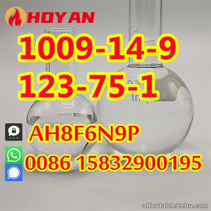 4th picture of Valerophenone CAS 1009-14-9, 123-75-1 hot sell in Russia Kazakhstan For Sale in Cebu, Philippines