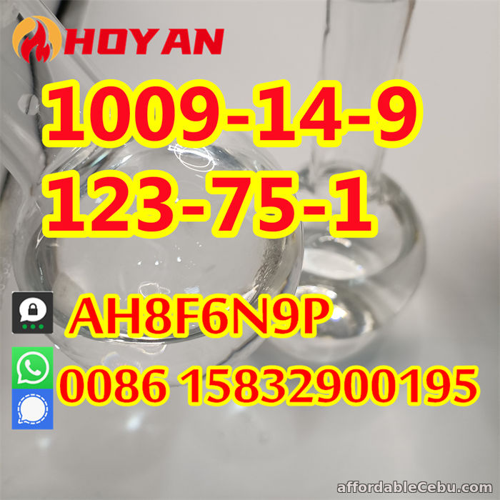 2nd picture of Valerophenone CAS 1009-14-9, 123-75-1 hot sell in Russia Kazakhstan For Sale in Cebu, Philippines
