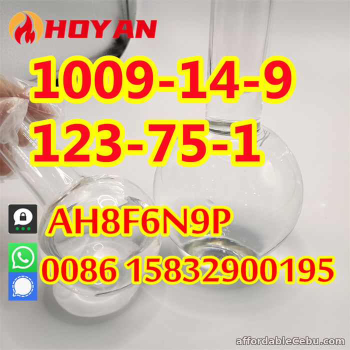 3rd picture of Valerophenone CAS 1009-14-9, 123-75-1 hot sell in Russia Kazakhstan For Sale in Cebu, Philippines