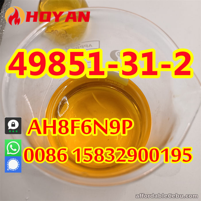 2nd picture of CAS 49851-31-2 wholesale price 2-Bromo-1-Phenyl-1-Pentanone hot sell For Sale in Cebu, Philippines