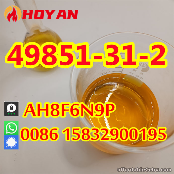 3rd picture of CAS 49851-31-2 wholesale price 2-Bromo-1-Phenyl-1-Pentanone hot sell For Sale in Cebu, Philippines