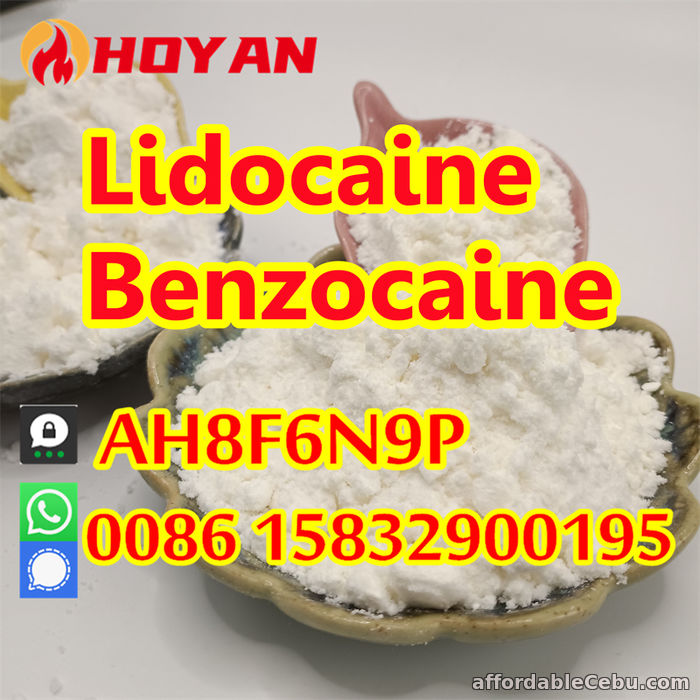 2nd picture of Anesthetic lidocaine powder CAS 137-58-6, 73-78-9 bulk quantity in stock For Sale in Cebu, Philippines