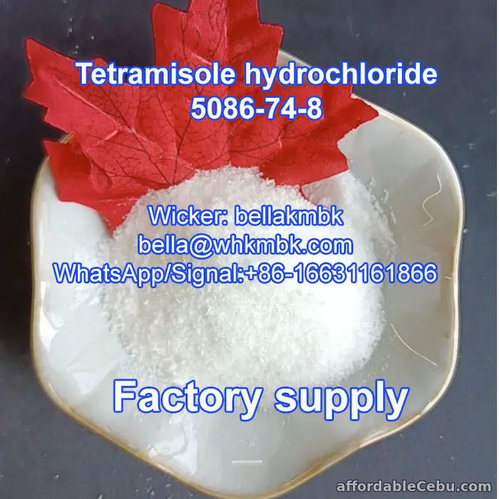 1st picture of CAS: 5086-74-8 Tetramisole HCl Powder Veterinary API For Sale in Cebu, Philippines